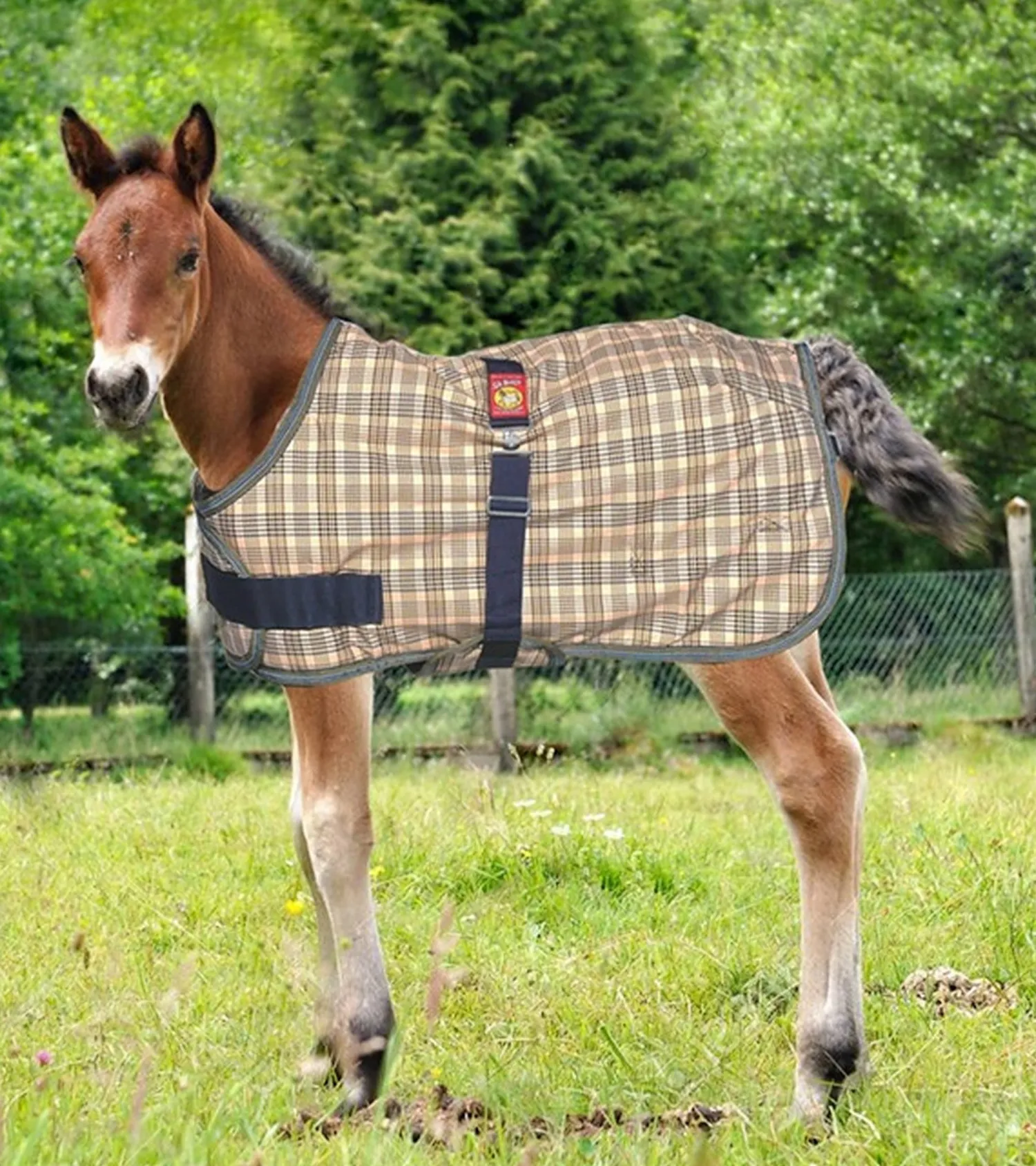 JACKS MFG 5/A Baker® Expand-O-Blanket Turnout for Foal & Pony Baker Plaid Sale