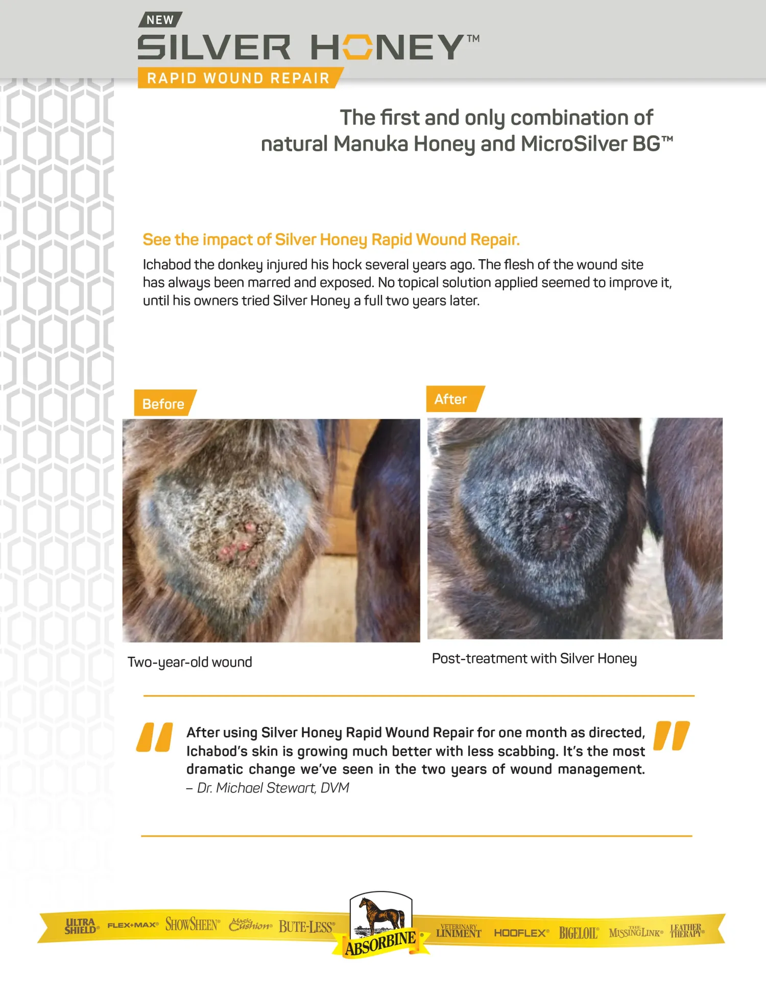 ANIMAL HEALTH INT Absorbine® Silver Honey® Rapid Wound Repair Ointment New