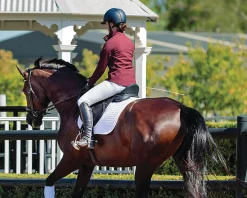 SADDLERY BRANDS INTL Arena Dressage Saddle Black Hot