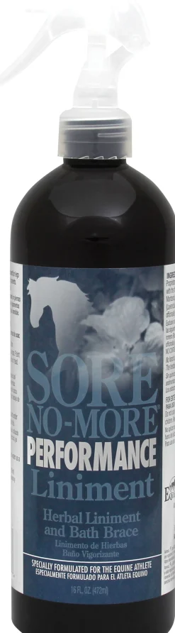 RJ MATTHEWS Arenus® Sore No-More® Performance Liniment Spray Outlet