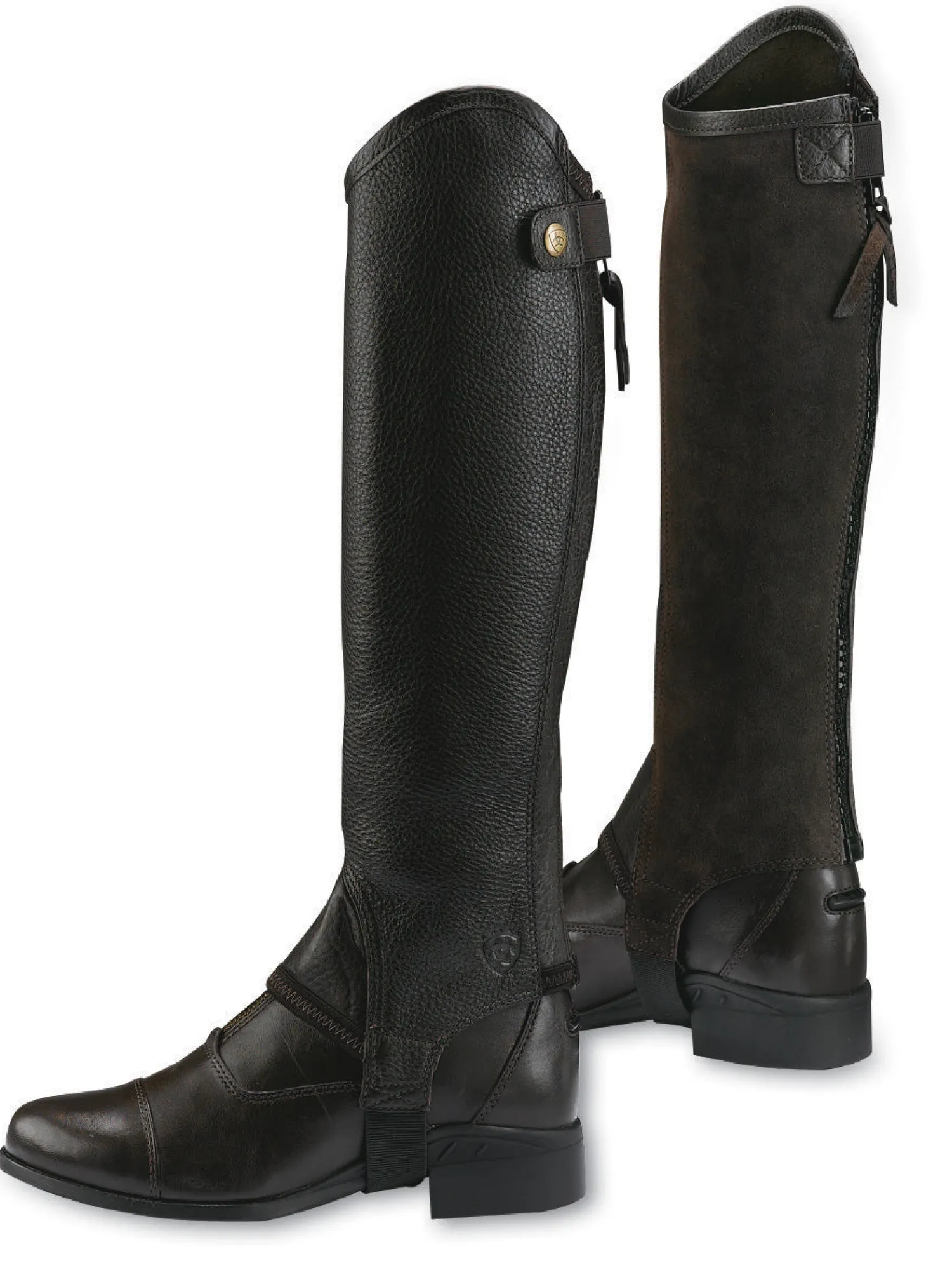 ARIAT ® Concord Half Chaps Clearance