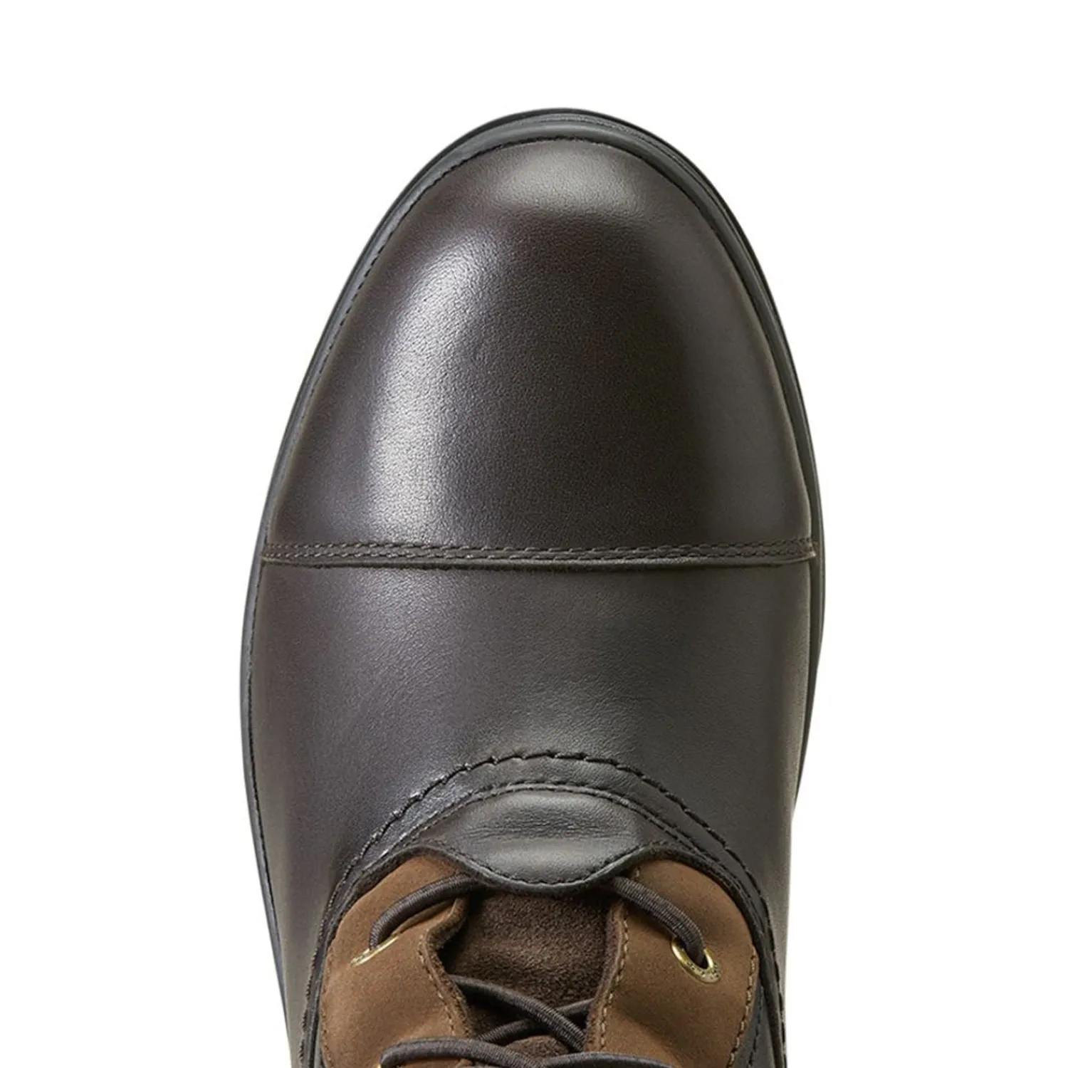 ARIAT ® Ladies’ Coniston Max Waterproof Insulated Boots Ebony Online