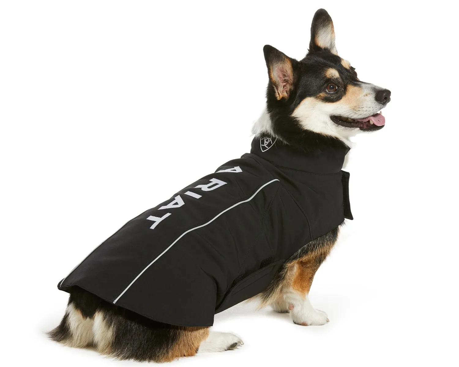 ARIAT-ACCESSORIES Ariat® Team Soft Shell Dog Jacket Best