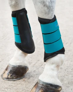 SHIRES EQUESTRIAN ARMA Air Motion Brushing Boots Online