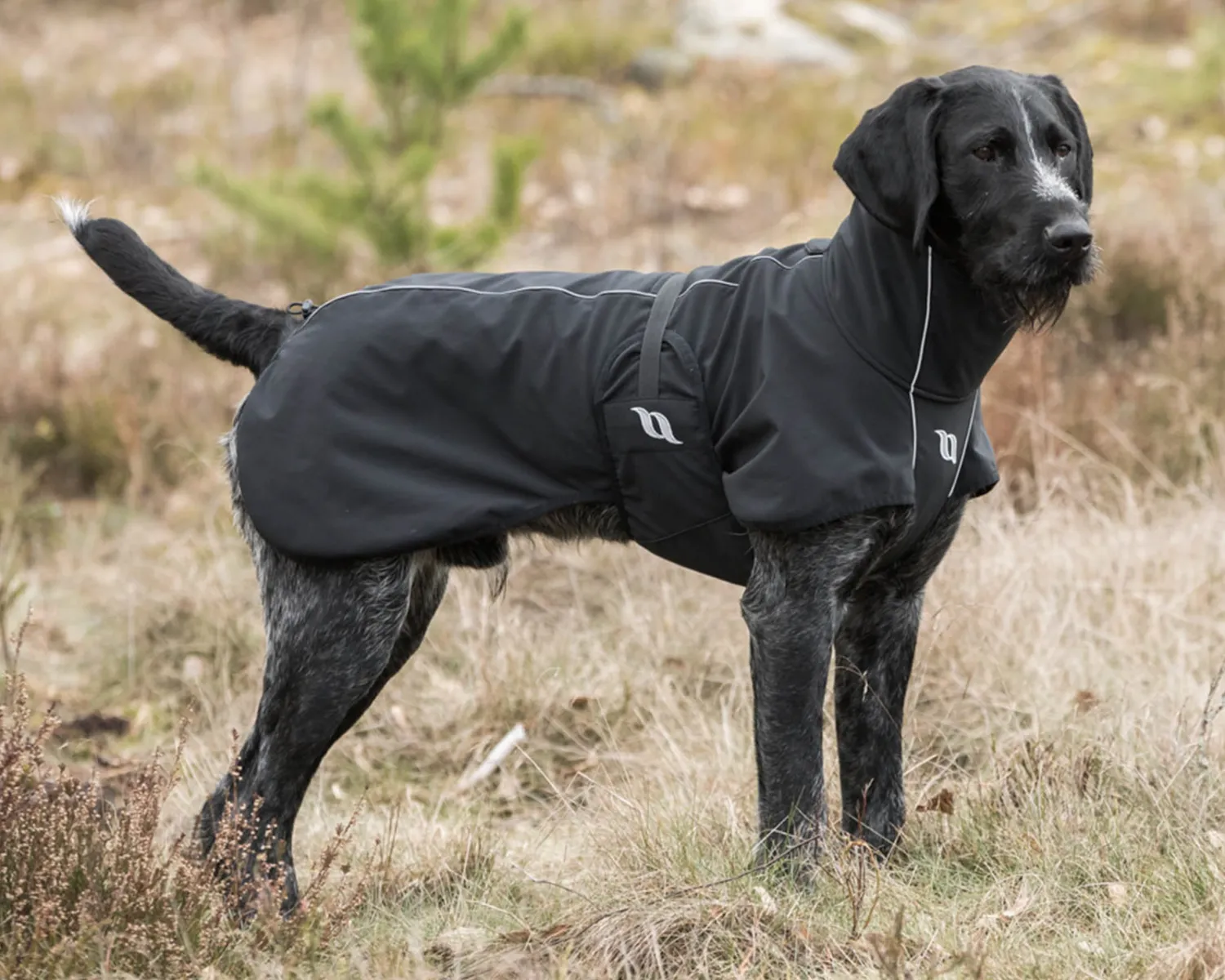 BACK ON TRACK BOT LL Back on Track® Bark Large Dog Coat