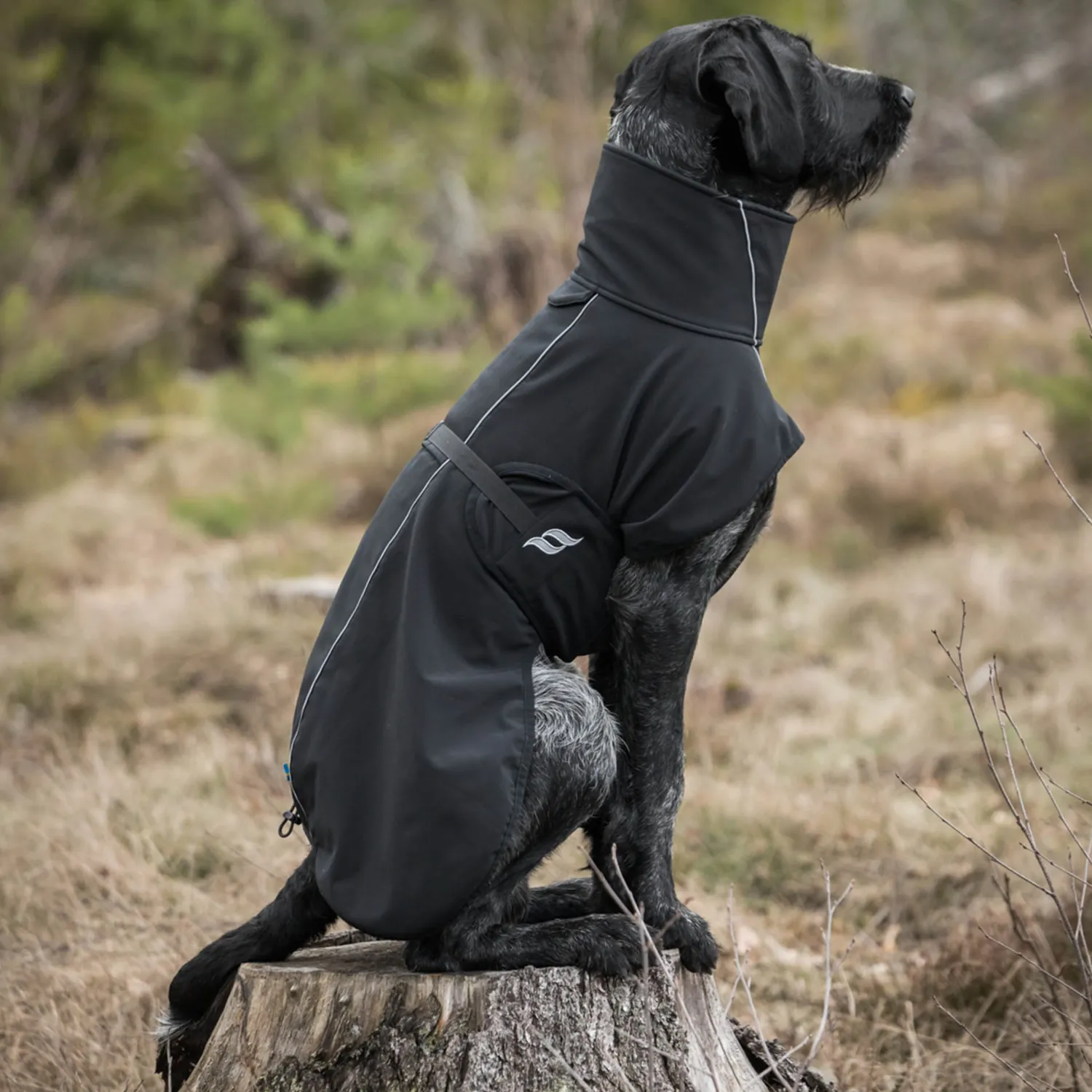 BACK ON TRACK BOT LL Back on Track® Bark Large Dog Coat