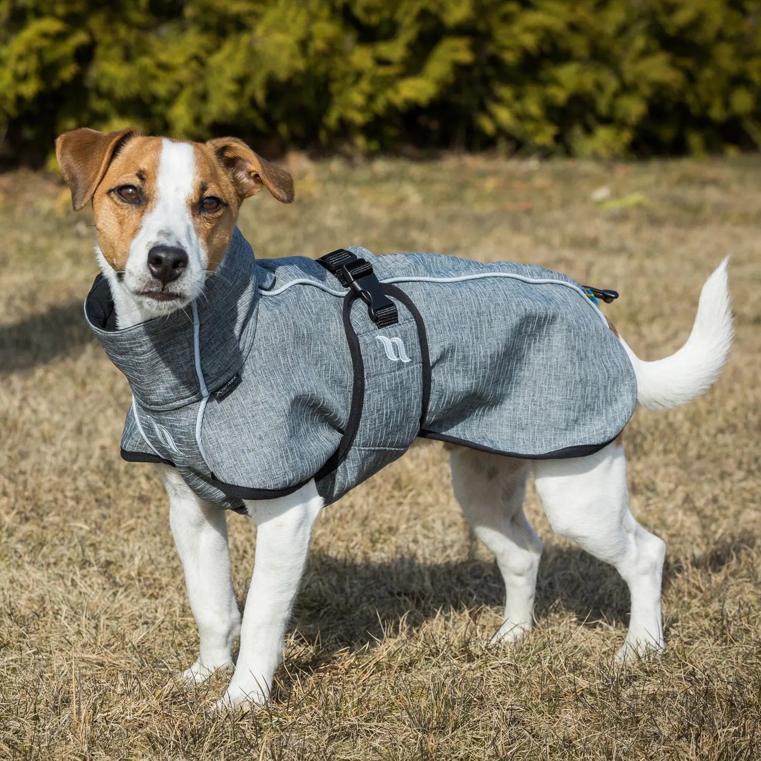 BACK ON TRACK BOT LL Back on Track® Bark Small Dog Coat Outlet