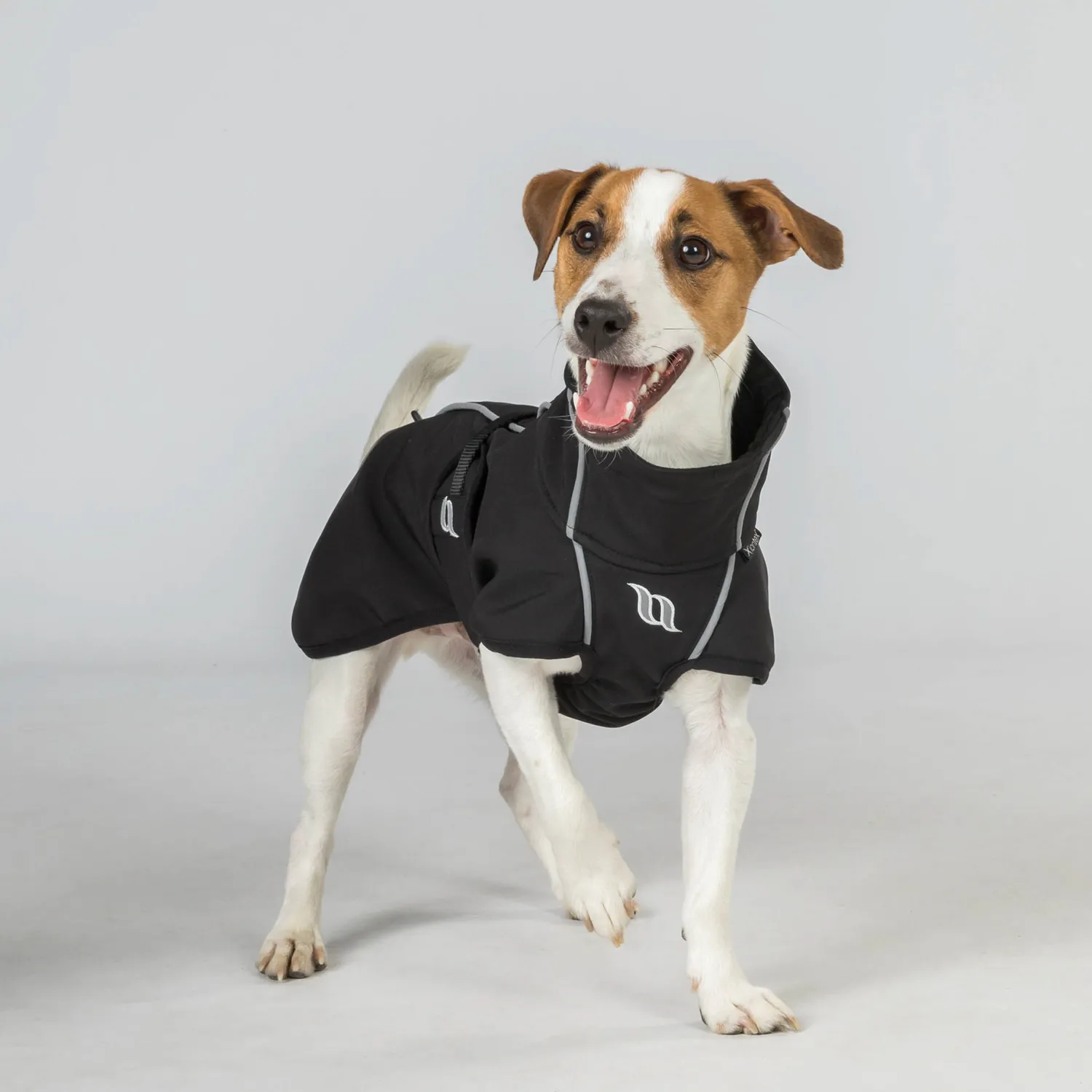 BACK ON TRACK BOT LL Back on Track® Bark Small Dog Coat Outlet