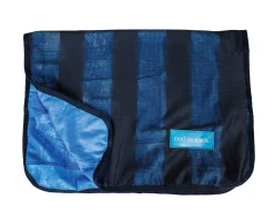 BACK ON TRACK BOT LL Back on Track® Cool on Track® Towel Blue Sale
