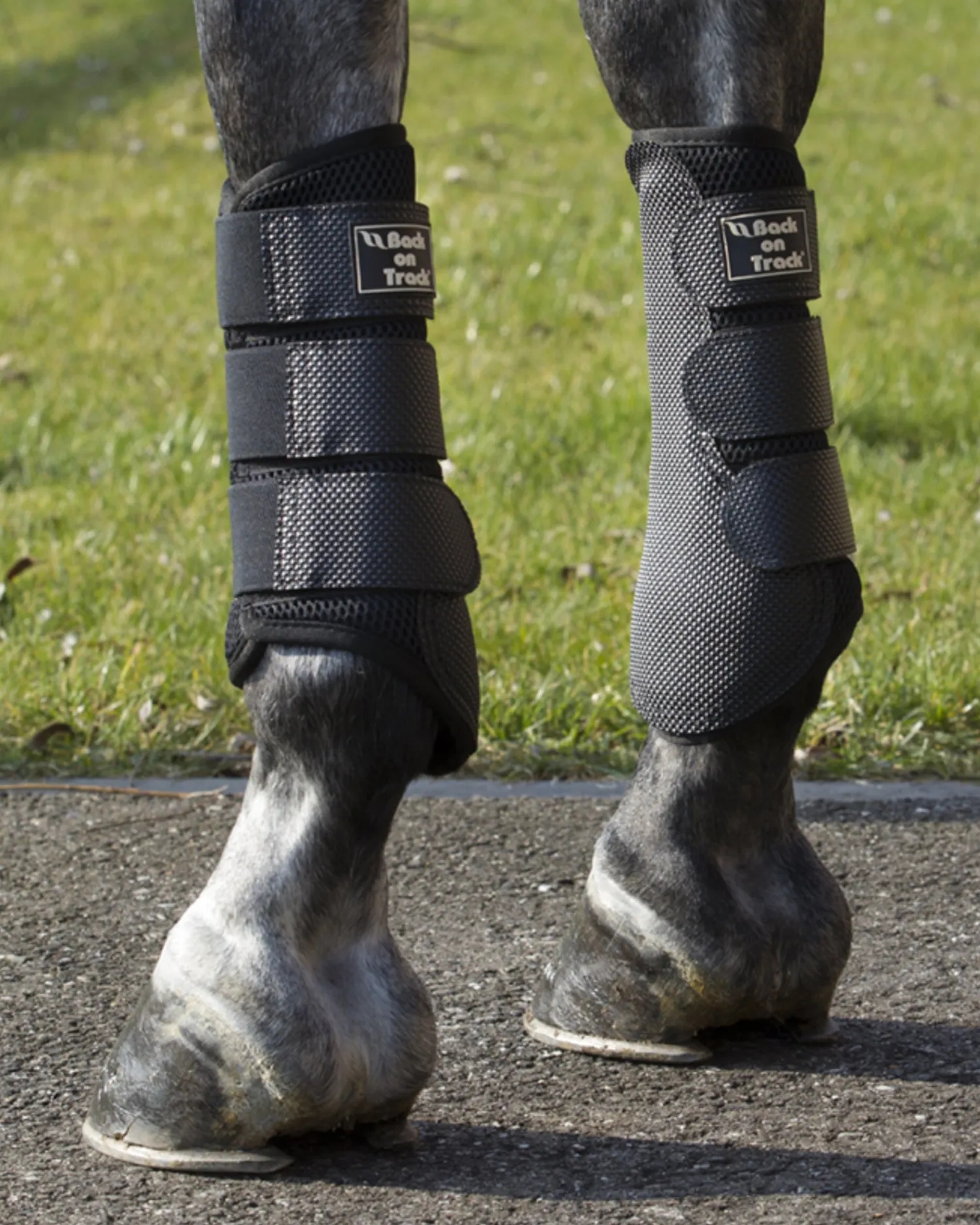 BACK ON TRACK BOT LL Back on Track® 3D Mesh Splint Boots