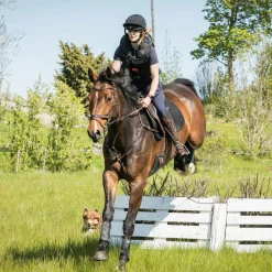 BACK ON TRACK BOT LL Back on Track® Deep Nights Brush Boots Outlet