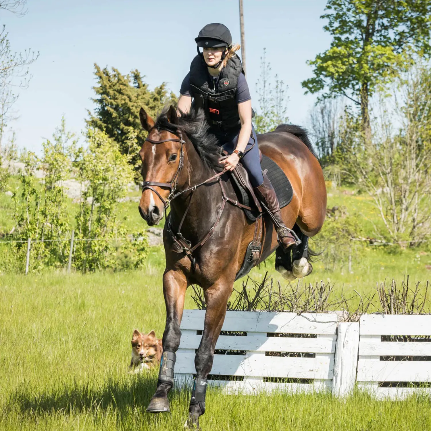 BACK ON TRACK BOT LL Back on Track® Deep Nights Brush Boots Outlet