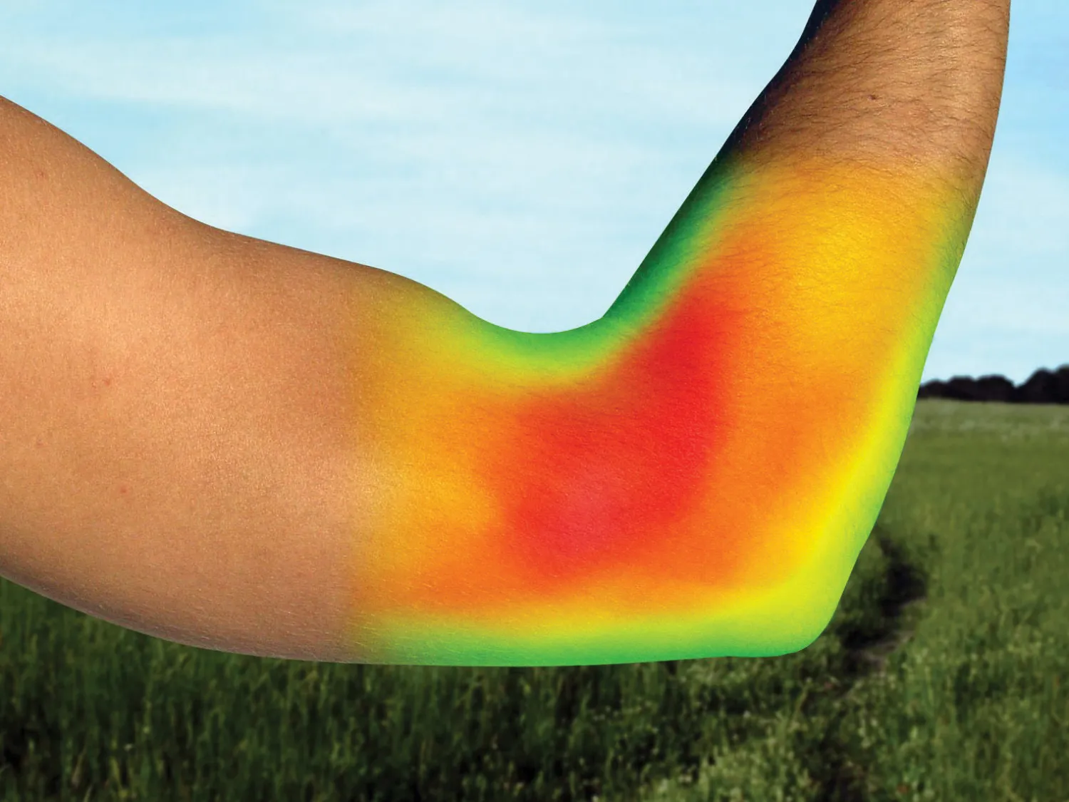 BACK ON TRACK BOT LL Back on Track® Elbow Brace Black Discount