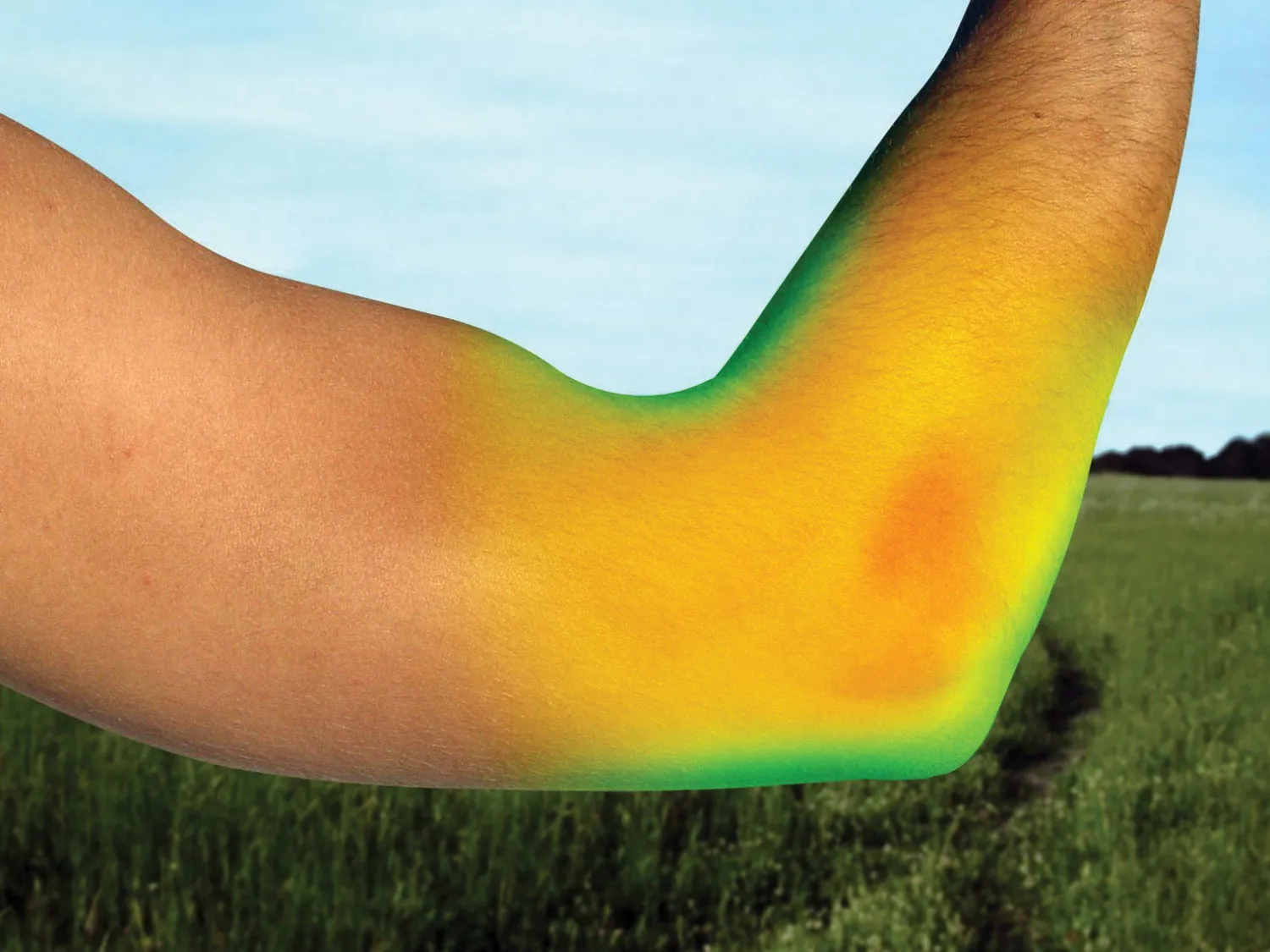 BACK ON TRACK BOT LL Back on Track® Elbow Brace Black Discount