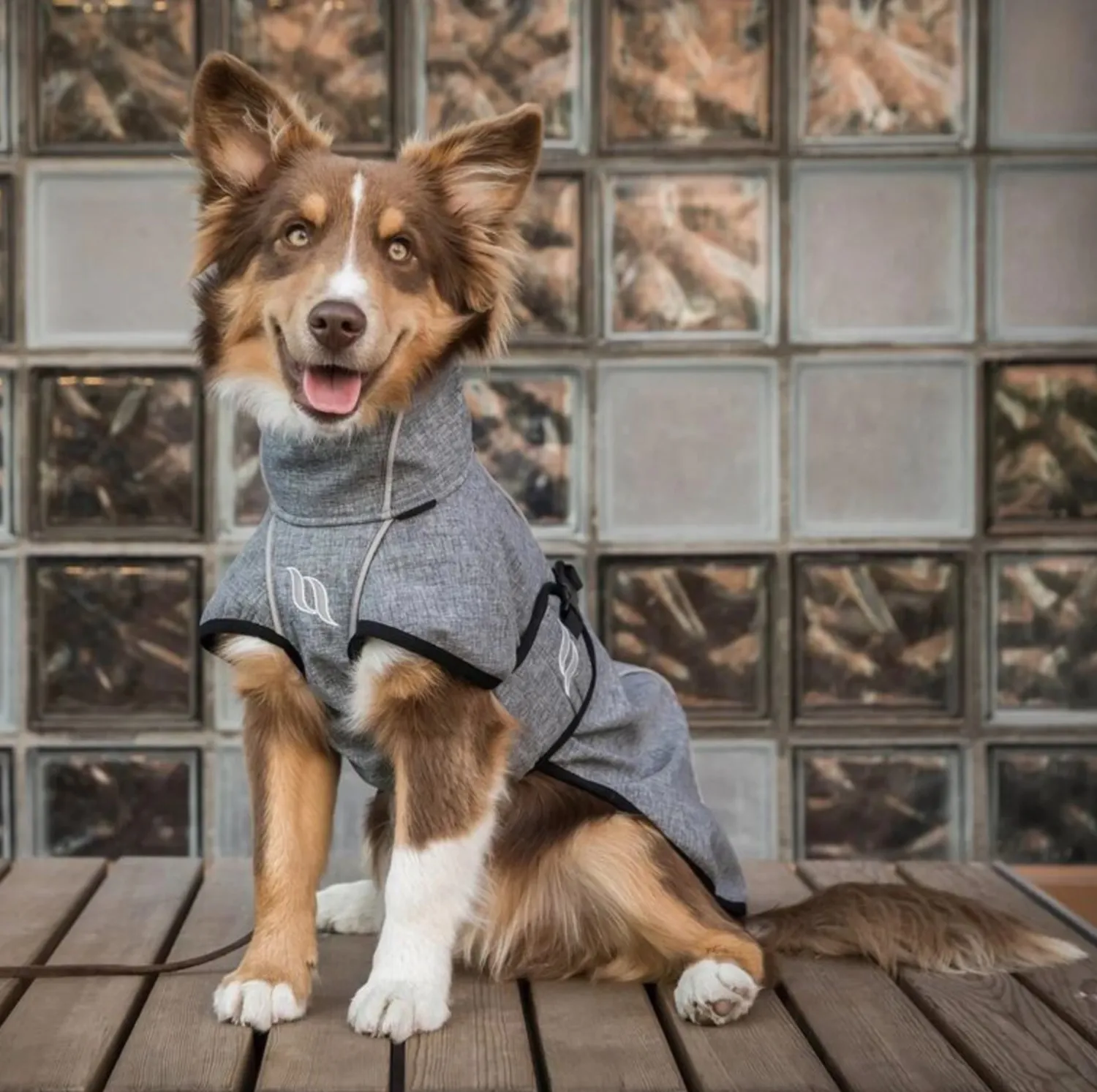 BACK ON TRACK BOT LL Back on Track® Nella Small Dog Coat New