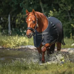 BACK ON TRACK BOT LL Back on Track® Sienna Mesh Cooler with Knitted Lining Black Outlet