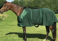 BACK ON TRACK BOT LL Back on Track® Therapeutic Mesh Horse Sheet