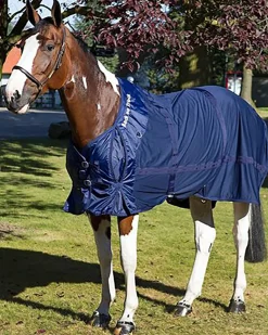 BACK ON TRACK BOT LL Back on Track® Therapeutic Mesh Horse Sheet
