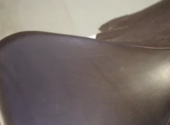 SADDLERY BRANDS INTL Bates Luxe Leather Dressage Webbers Classic Black Clearance