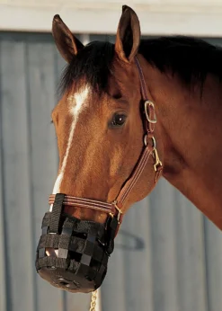 INTREPID INTL Best Friend® Grazing Muzzle Discount