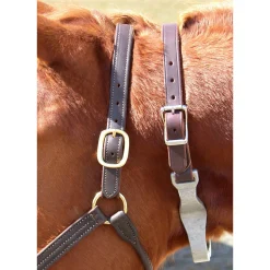 INTREPID INTL Best Friend® Hinged Cribbing Strap Discount