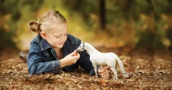 REEVES INTERNATIONAL Breyer® Traditional® Snowman Clearance