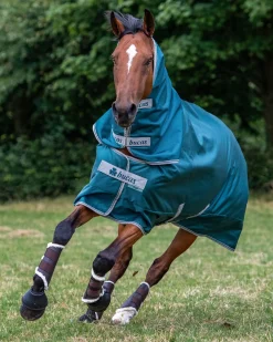 TOKLAT ORIGINALS Bucas Atlantic Combi Neck Cover - 300 Grams Spruce New