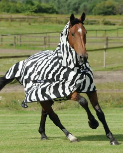 TOKLAT ORIGINALS Bucas Buzz-Off Fly Sheet with High Neck Zebra Online