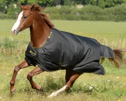 TOKLAT ORIGINALS Bucas Irish Classic Lightweight Turnout Blanket Online
