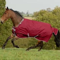 TOKLAT ORIGINALS Bucas Irish Classic Lightweight Turnout Blanket Online
