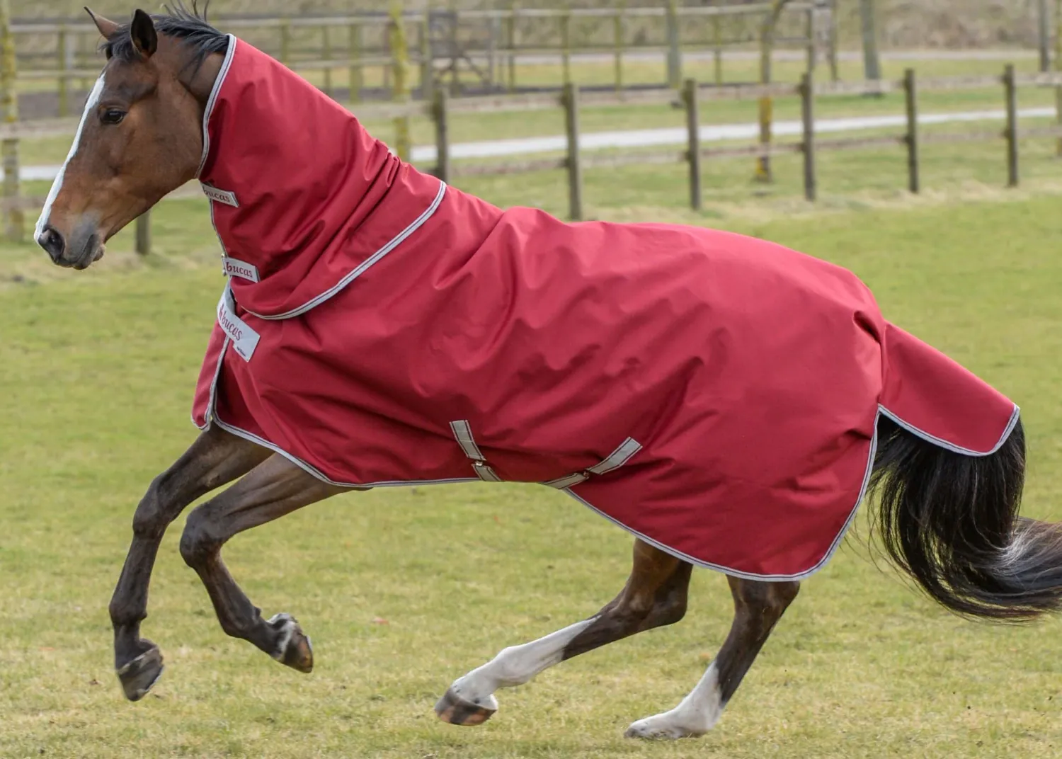 TOKLAT ORIGINALS Bucas Irish Extra Classic Heavyweight Turnout Blanket New