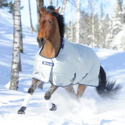 TOKLAT ORIGINALS Bucas Power All-In-One Classic Heavyweight Turnout Blanket Silver Discount