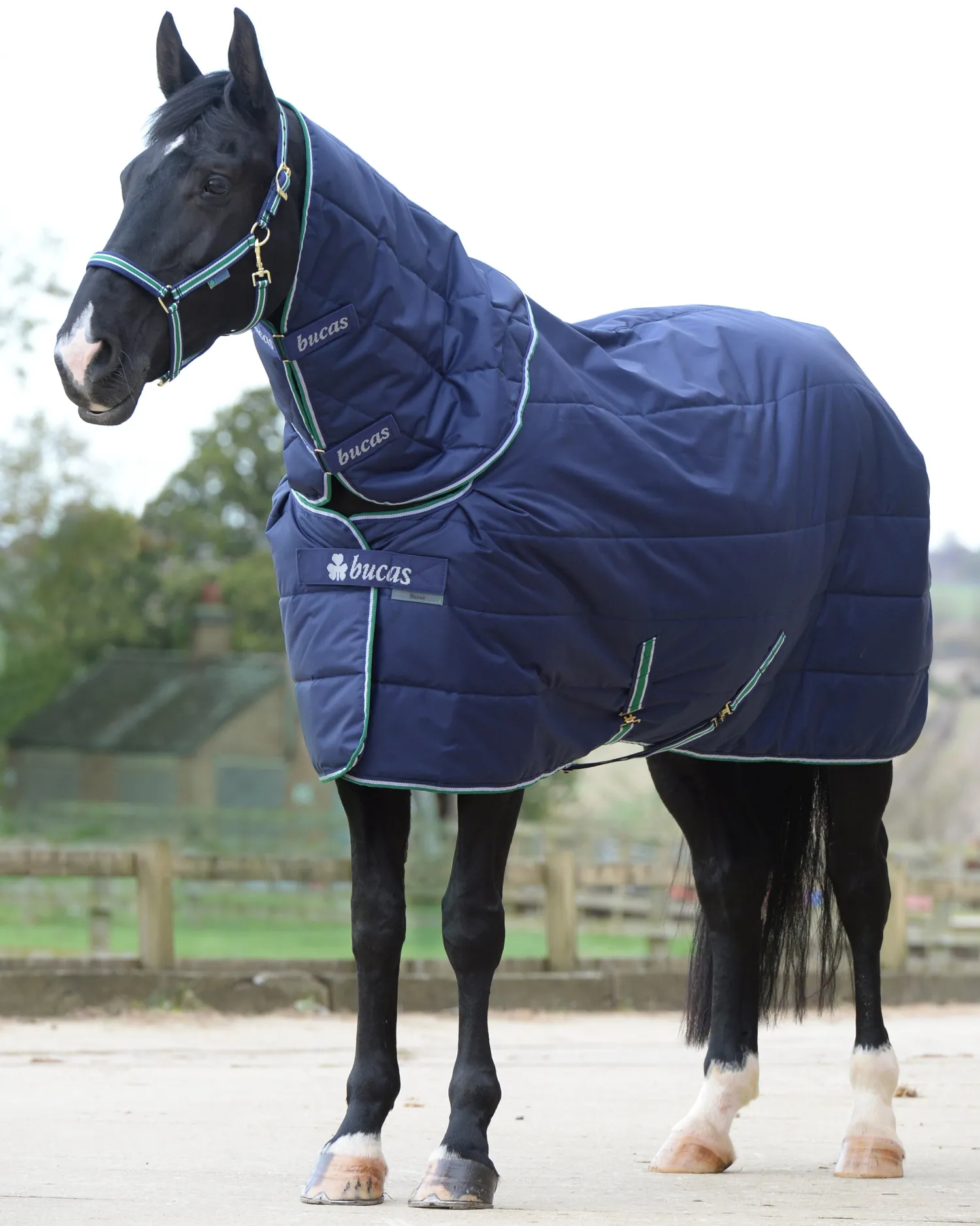 TOKLAT ORIGINALS Bucas Quilt Stable Blanket Combi Neck Cover Navy Online