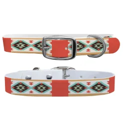 SWYFT PRINTS/C4 C4 Dog Collar Sale
