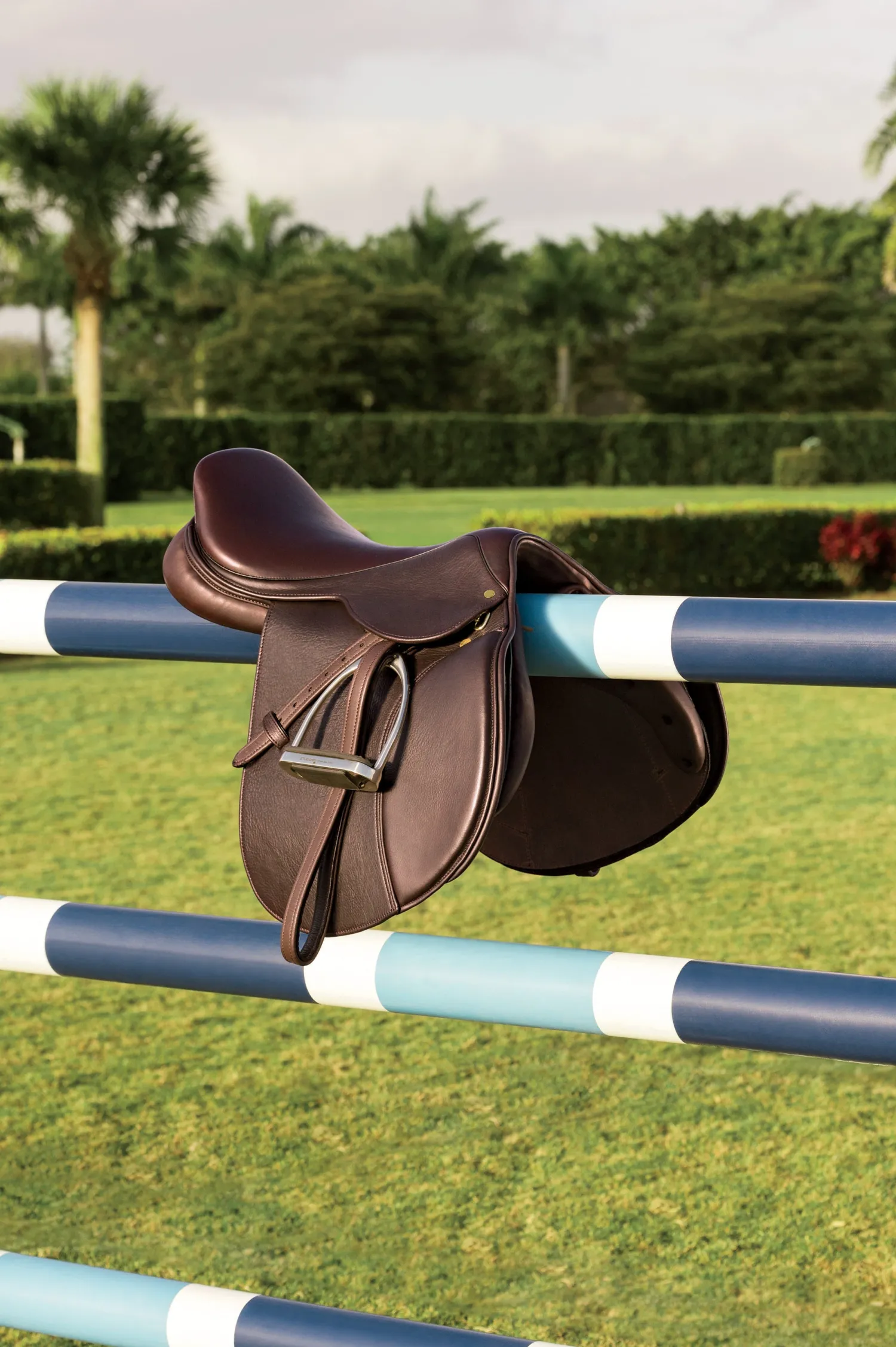 JPC INDIA-LTHR TACK Circuit™ Debut Saddle Dark Chocolate Sale