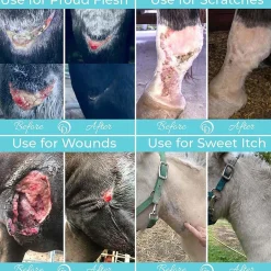 HORSEPOWDER INC Coat Defense® Trouble Spot Drying Paste Sale