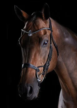 WEATHERBEETA Collegiate® ComFiTec™ Crystal Bridle
