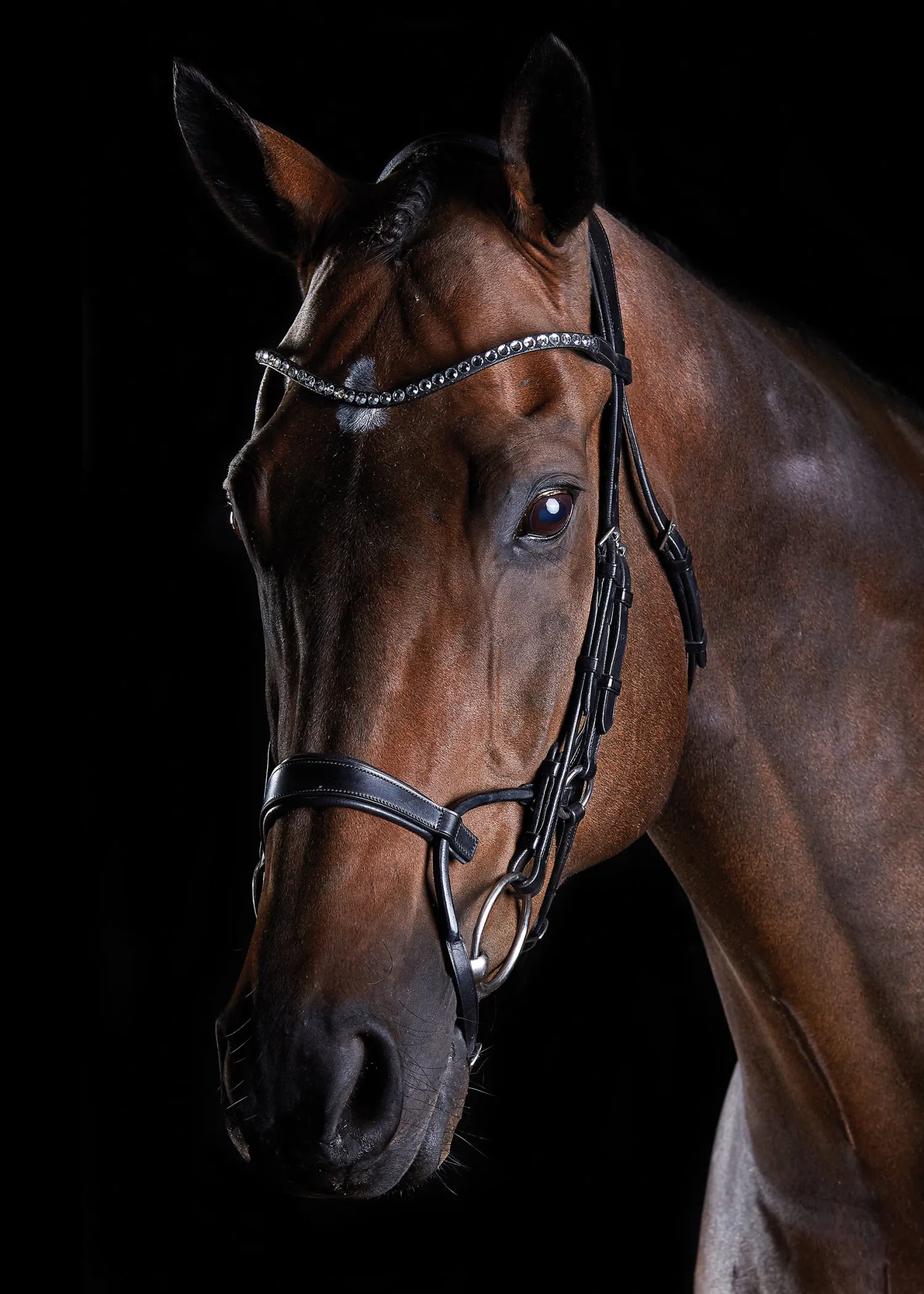 WEATHERBEETA Collegiate® ComFiTec™ Crystal Bridle