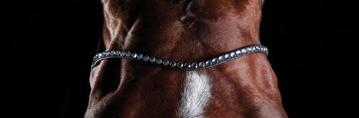 WEATHERBEETA Collegiate® ComFiTec™ Crystal Bridle