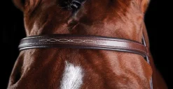 WEATHERBEETA Collegiate® ComFiTec™ Fancy-Stitched Bridle Outlet