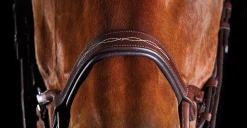 WEATHERBEETA Collegiate® ComFiTec™ Fancy-Stitched Bridle Outlet