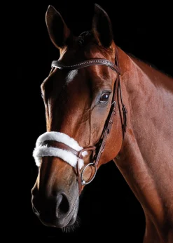 WEATHERBEETA Collegiate® ComFiTec™ Sheepskin Bridle Discount