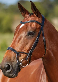 WEATHERBEETA Collegiate® ComFiTec™ Training Bridle Clearance