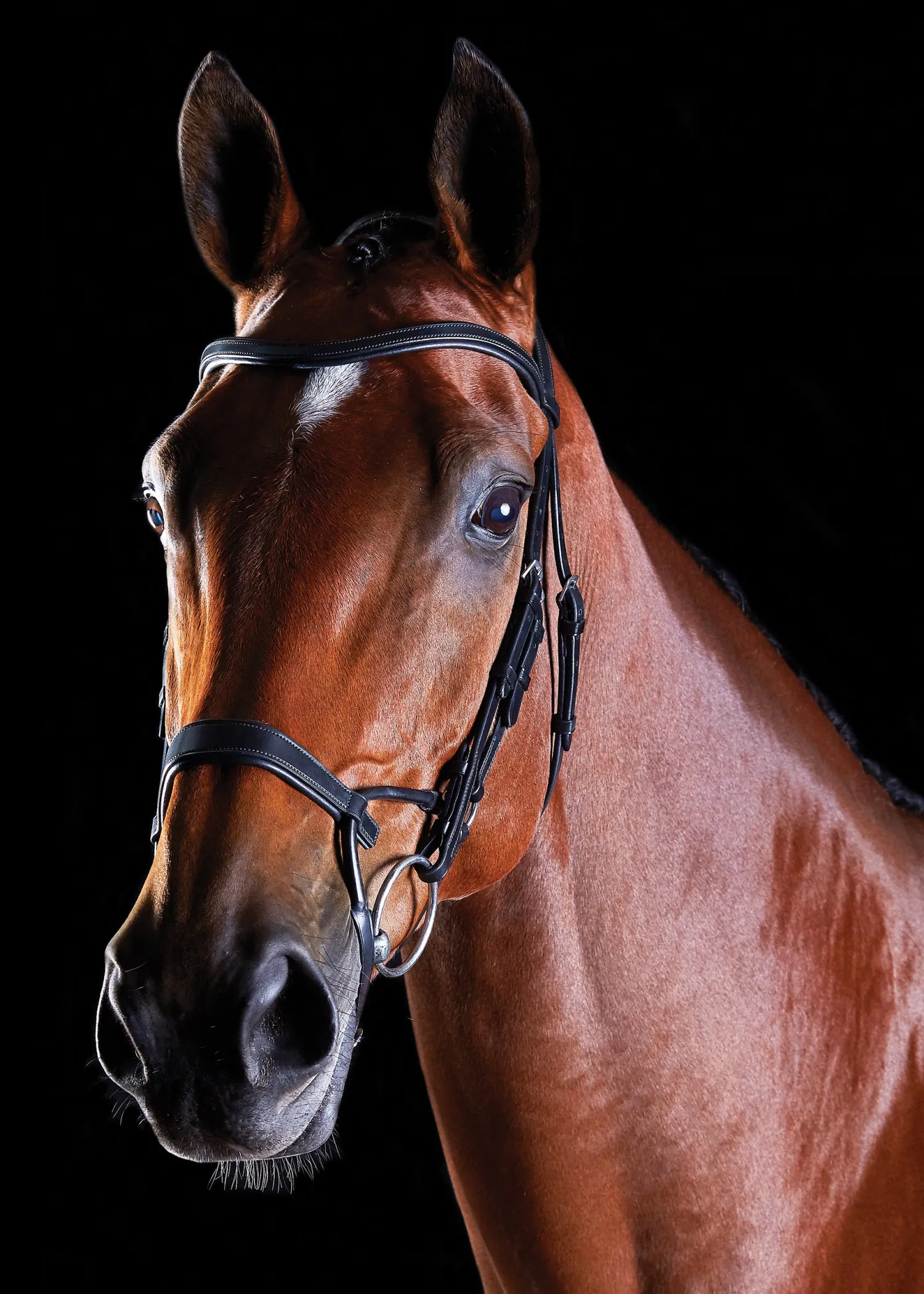 WEATHERBEETA Collegiate® ComFiTec™ Training Bridle Clearance