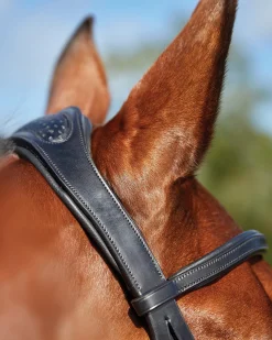 WEATHERBEETA Collegiate® ComFiTec™ Training Bridle Clearance