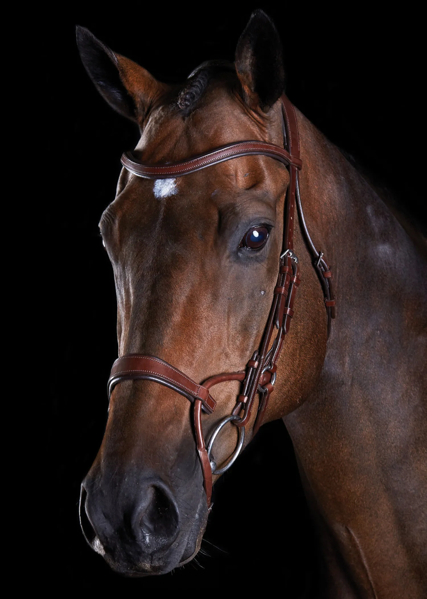 WEATHERBEETA Collegiate® ComFiTec™ Training Bridle Clearance