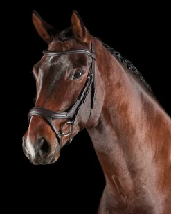 WEATHERBEETA Collegiate® ComFiTec™ Vogue Anatomic Bridle Clearance