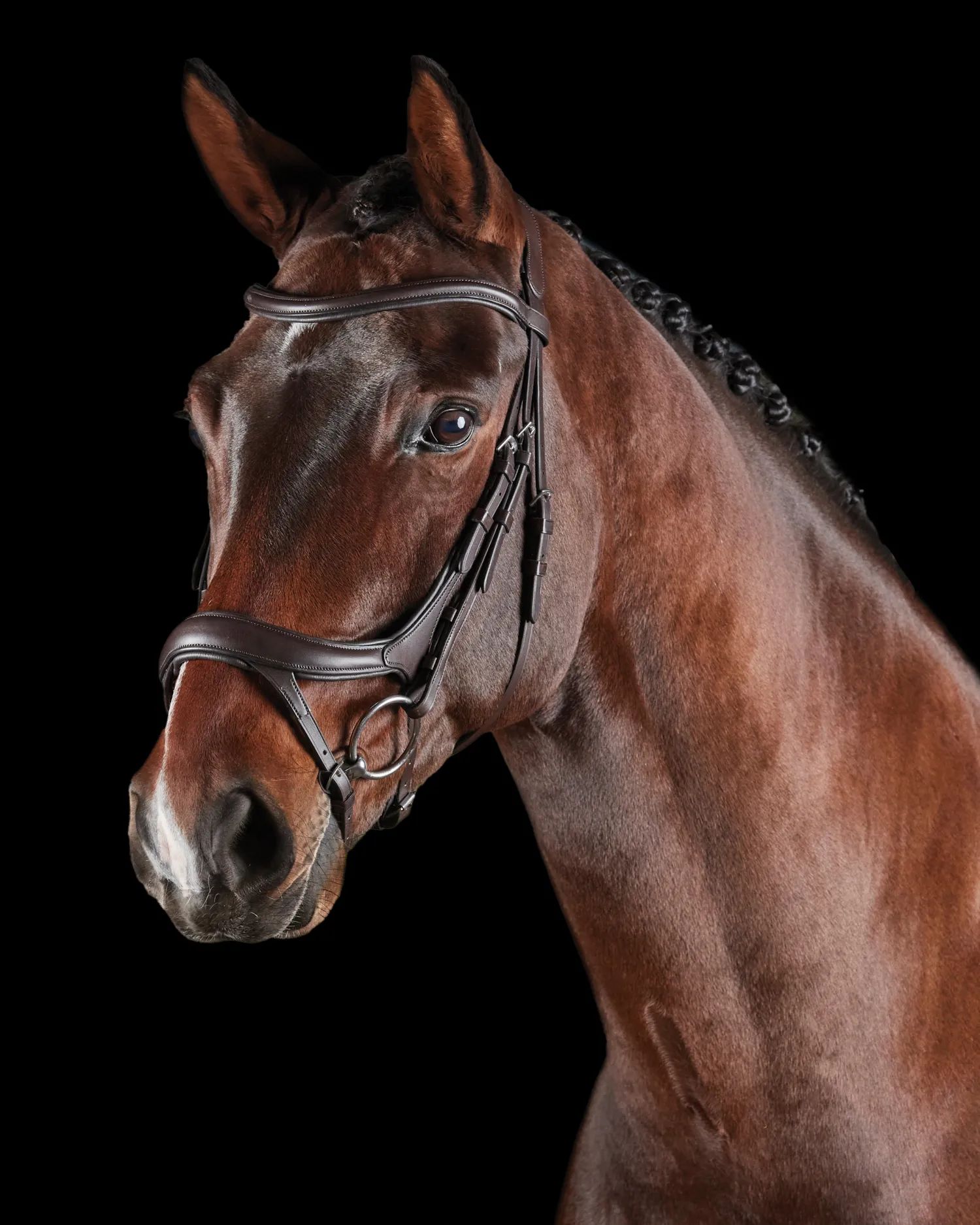 WEATHERBEETA Collegiate® ComFiTec™ Vogue Anatomic Bridle Clearance