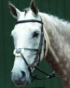 WEATHERBEETA Collegiate® Essential Padded Raised Figure-8 Bridle Outlet