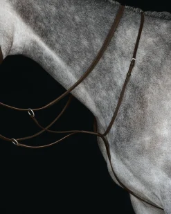 WEATHERBEETA Collegiate® Running Martingale IV Brown New